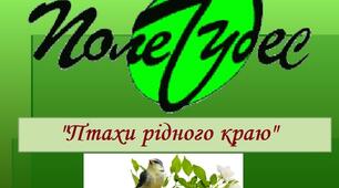 Гра ""Поле чудес": "Птахи рідного краю"