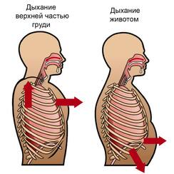 02007h30-e594-244x244.jpg
