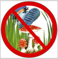 02007jjo-0533-197x200.png
