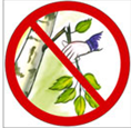 02007jjr-3a60-181x176.png