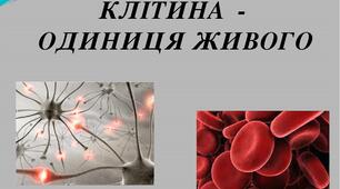 План - конспект уроку "Клітина - одиниця живого. Історія вивчення клітини."