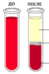 02007mfs-1989-164x246.png