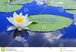 02007mzx-3042-262x179.png