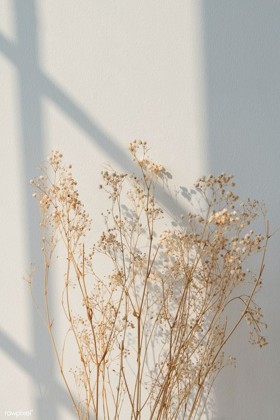 02007nc3-f0fb-778x1167.png
