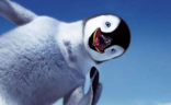 02007ov2-f044-156x96.png