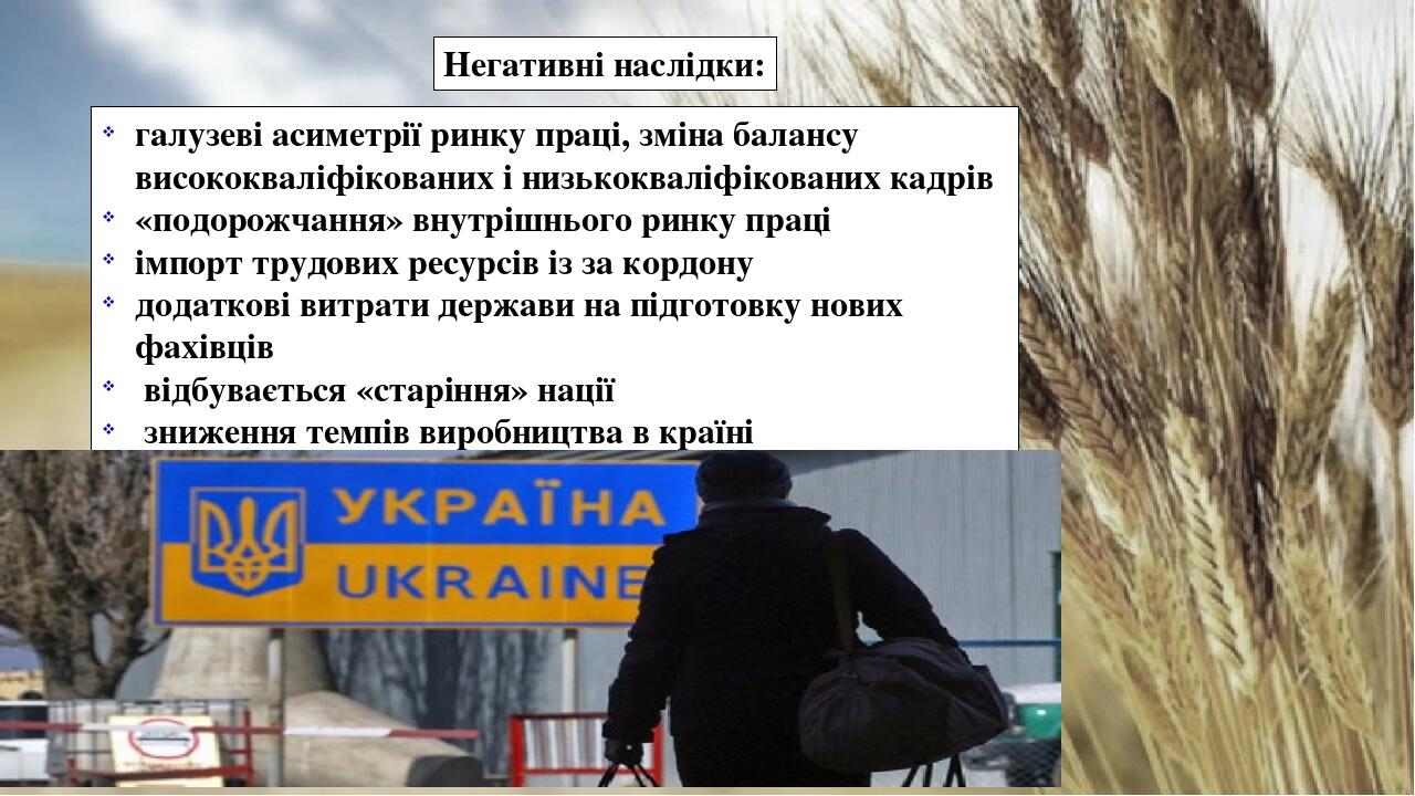 галузеві асиметрії ринку праці, зміна балансу висококваліфікованих і низькокваліфікованих кадрів «подорожчання» внутрішнього ринку праці імпорт тру...