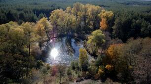 Методичні матеріали  до проведення дистанційного заняття з «Культурології»  на тему: «Культура Луганщини: від пращурів до сучасності»