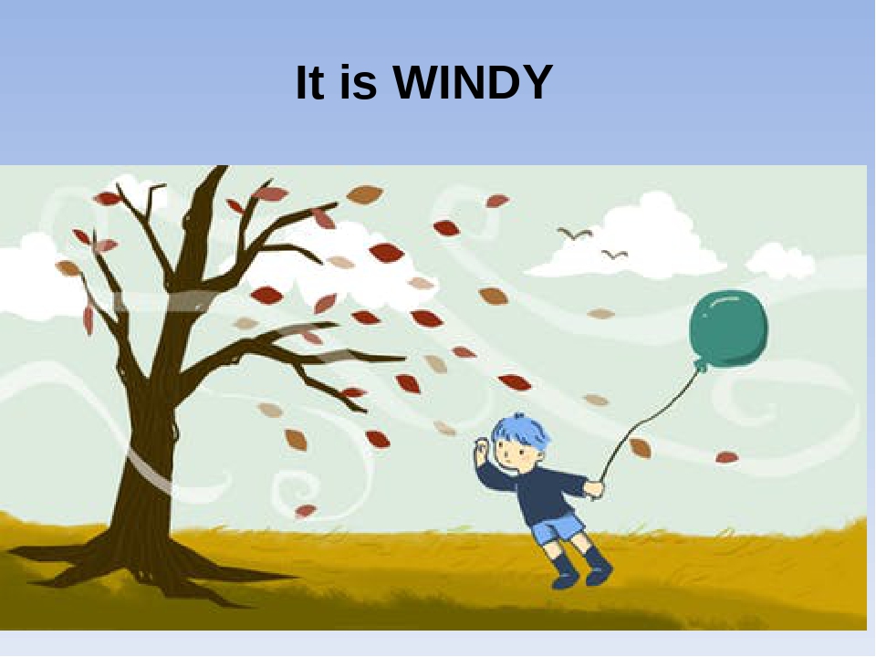 It s windy презентация