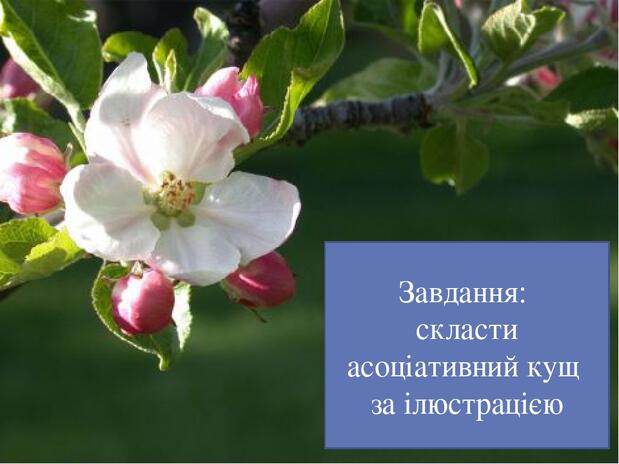 Завдання: скласти асоціативний кущ за ілюстрацією