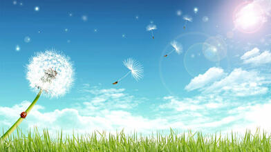 02007v7o-873d-516x290.jpg