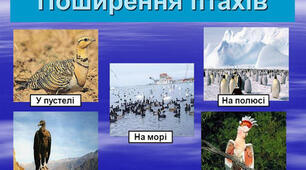 Поширення птахів на планеті Земля.