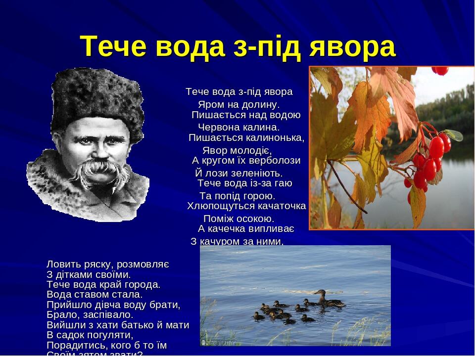 Над водою калина