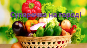 Логопедична казка «Суперечка на городі»
