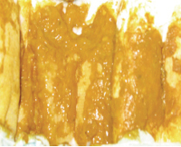 02007ya6-1185.jpg