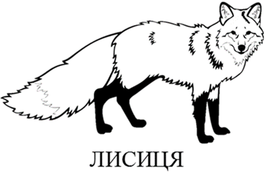 02007zkp-d737.png
