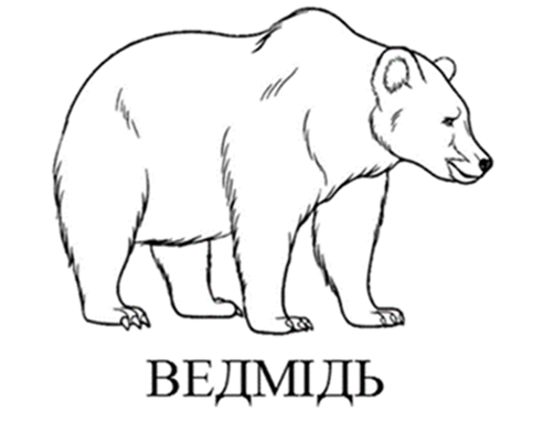 02007zl5-4085.png