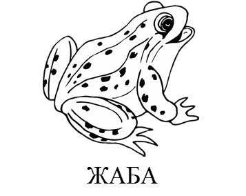 02007zoq-2bea.png