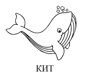 02007zri-a58e.png
