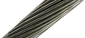 02007zuy-5069.png