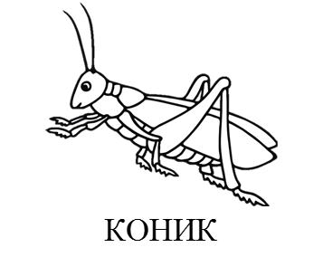 020080fe-2130.png