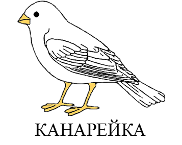 020080is-6d2b.png