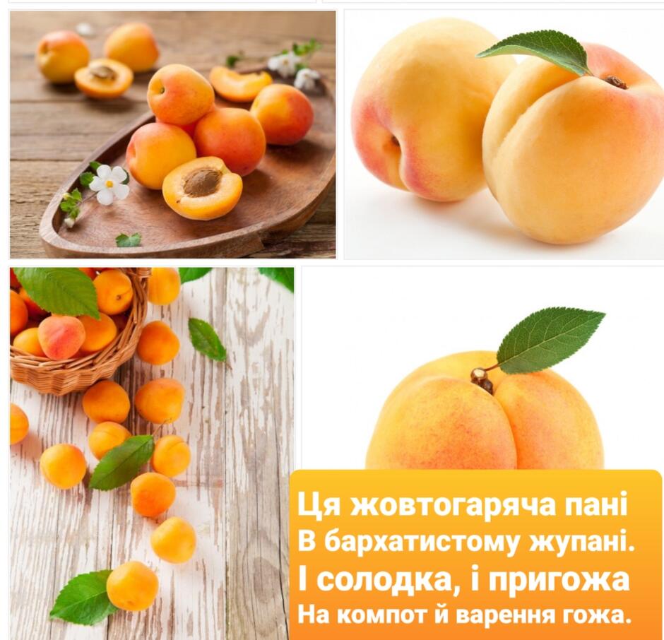 020083x9-8fec-940x906.jpg