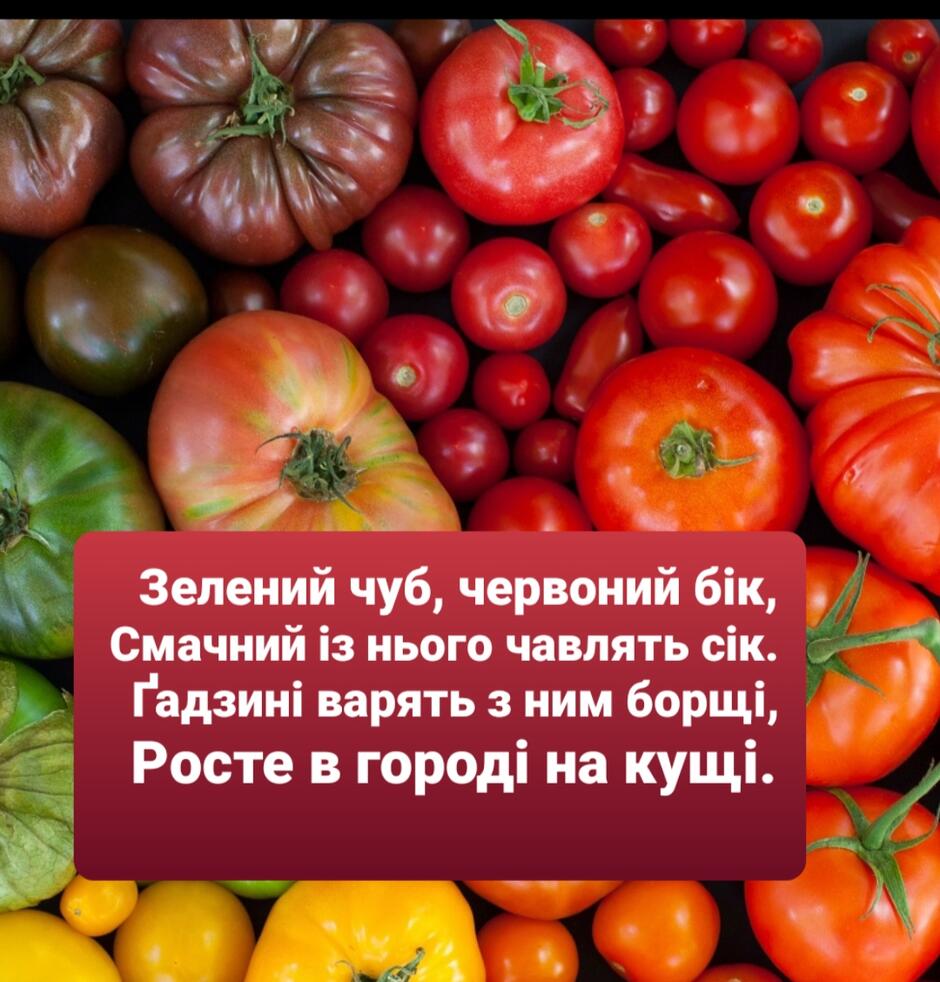 020083xt-226c-940x982.jpg