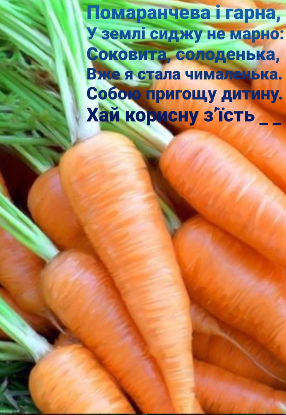 020083y8-a22a-940x1364.jpg