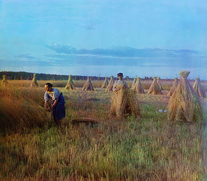 020086t8-5bc0.jpg