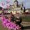 Гулей Лілія Петрівна