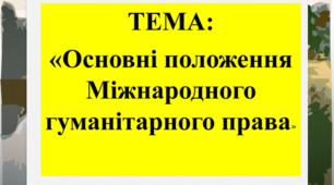 Основні положення МГП