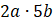 020089x3-6017.png