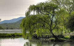 02008a3d-f1e4.jpg