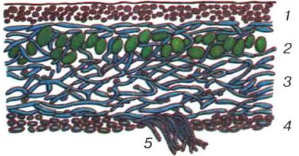 02008a82-c6e5-431x226.png
