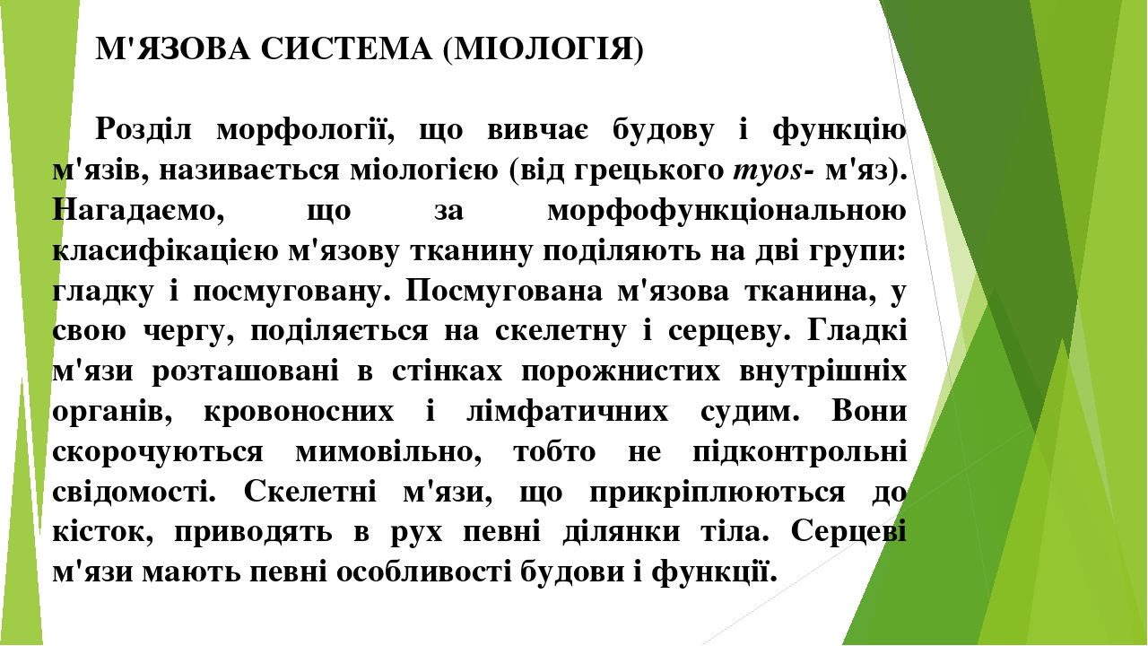 М'ЯЗОВА СИСТЕМА (МІОЛОГІЯ) Розділ морфології, що вивчає будову і функцію м'язів, називається міологією (від грецького myos- м'яз). Нагадаємо, що за...