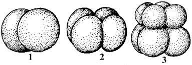 02008dn1-f5c7.png