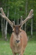 02008f13-a28d-118x177.png