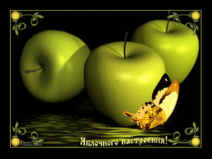 02008fm8-57fb.gif
