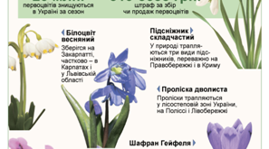 Словникова робота. Розвиток зв'язного мовлення. Первоцвіти.