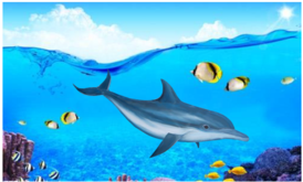 02008gxl-55cb-233x141.png