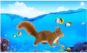 02008gxn-1c6f-239x147.png