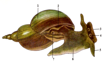 02008gyi-68ee-359x208.png