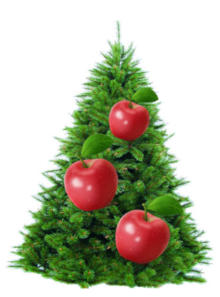 02008gzw-3506-362x489.png