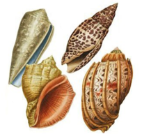 02008gzy-87cf-204x192.png