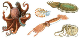 02008h0x-e3f7-266x129.png