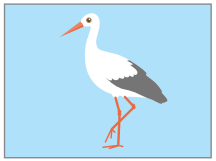 02008hzh-4250.png