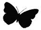 02008i67-020c-269x194.png