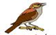 02008i6b-769c-270x172.png