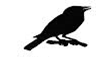 02008i6w-5b3b-265x157.png