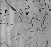 02008iby-b3b8-250x231.png